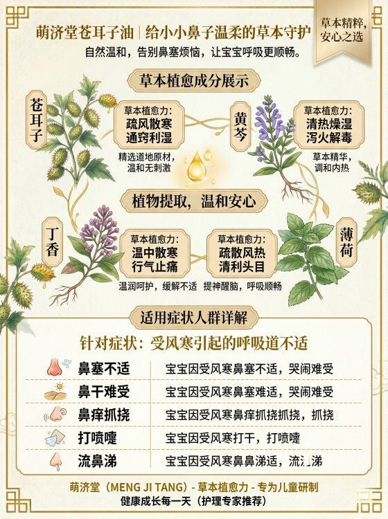 綠生命鼻子油 鼻塞 鼻子過敏 鼻炎 鼻竇炎 慢性鼻炎 一盒見效果
